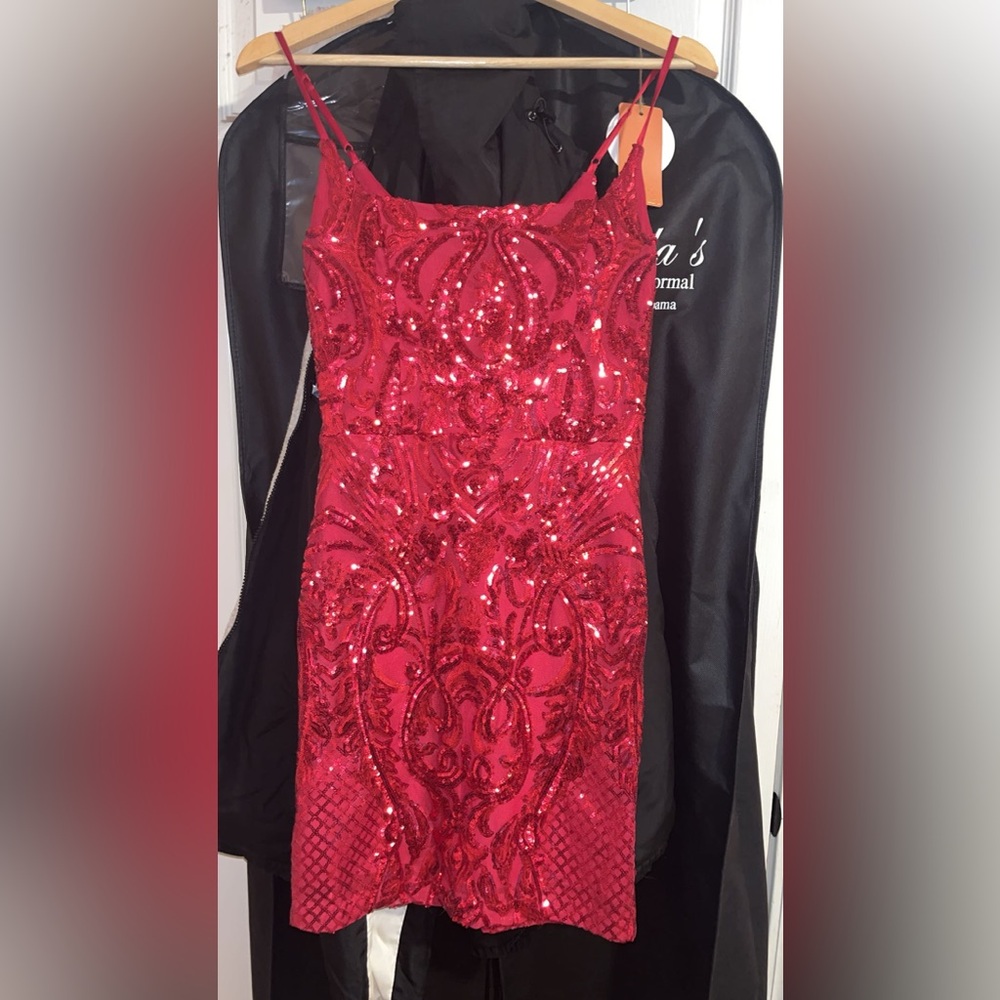 Windsor Radiant Red Sequin Dress